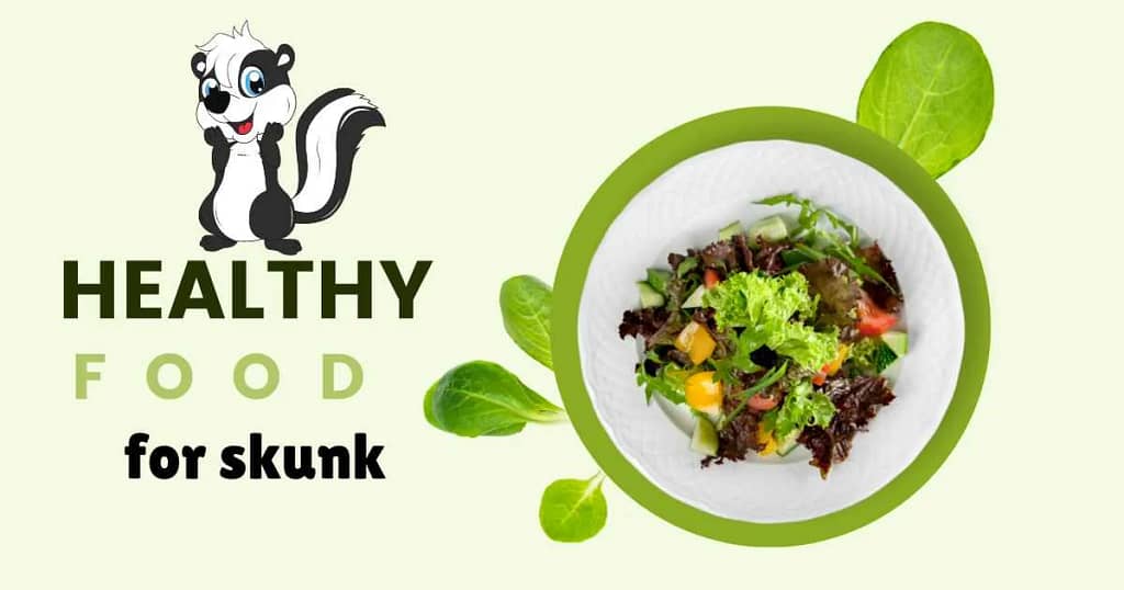 healthy food for skunk