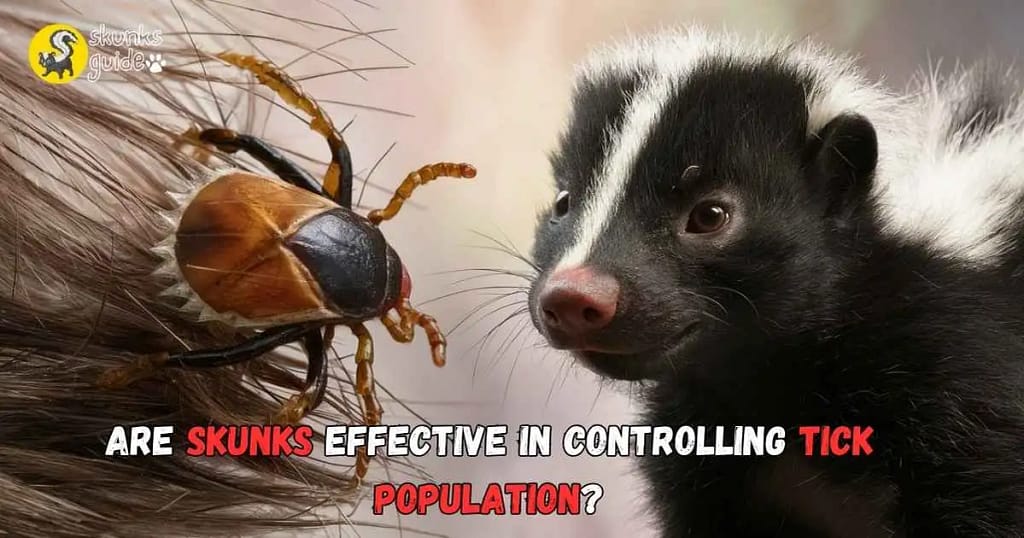 Are Skunks Effective In Controlling Tick Population