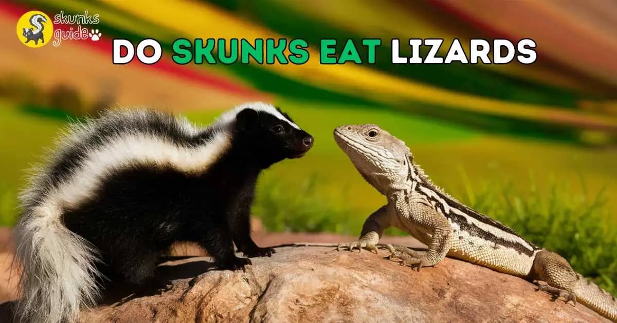 Do Skunks Eat Lizards